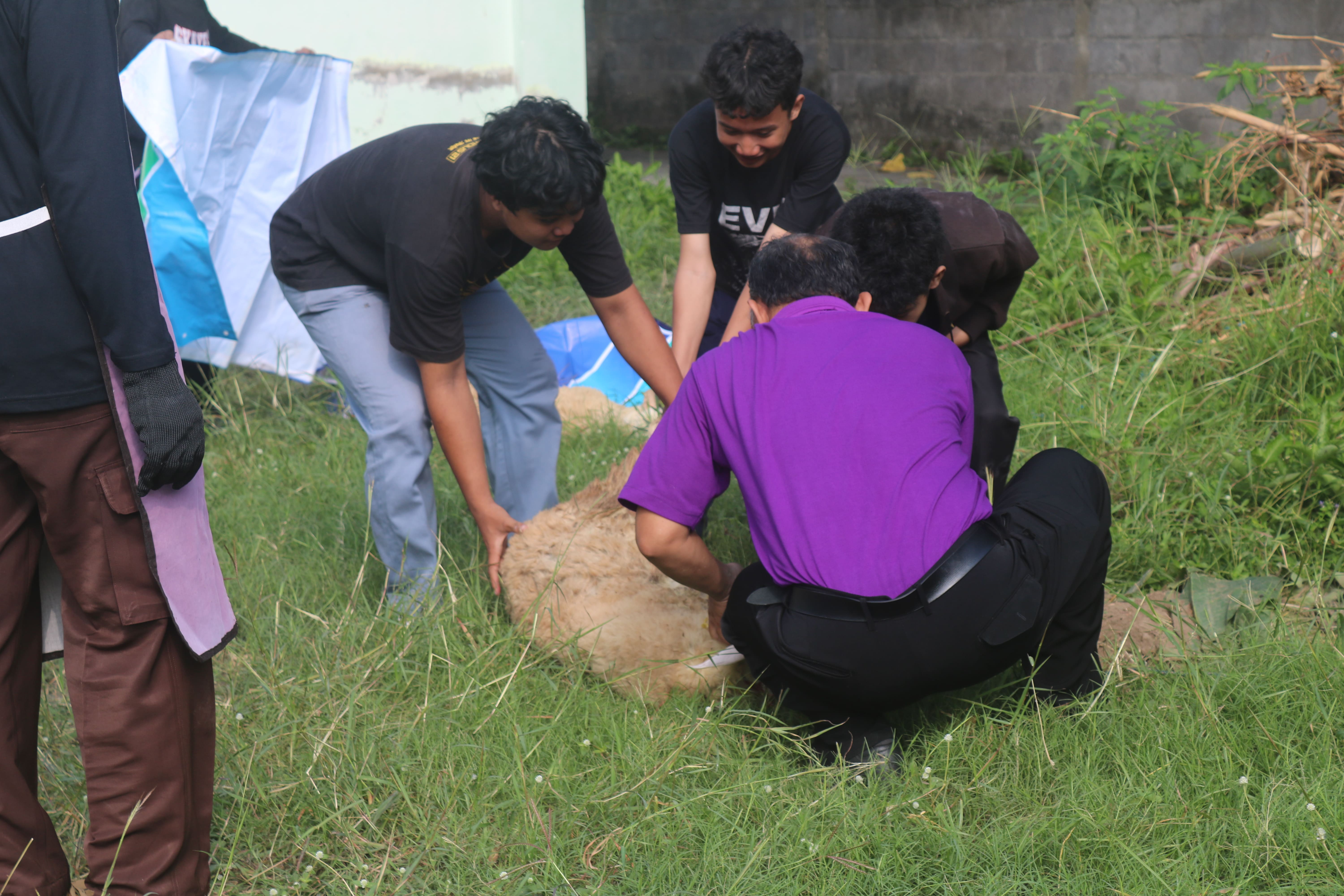 SMK YPKK 1 Sleman Semarakkan Idul Adha 1444 H dengan Nuansa Kebersamaan